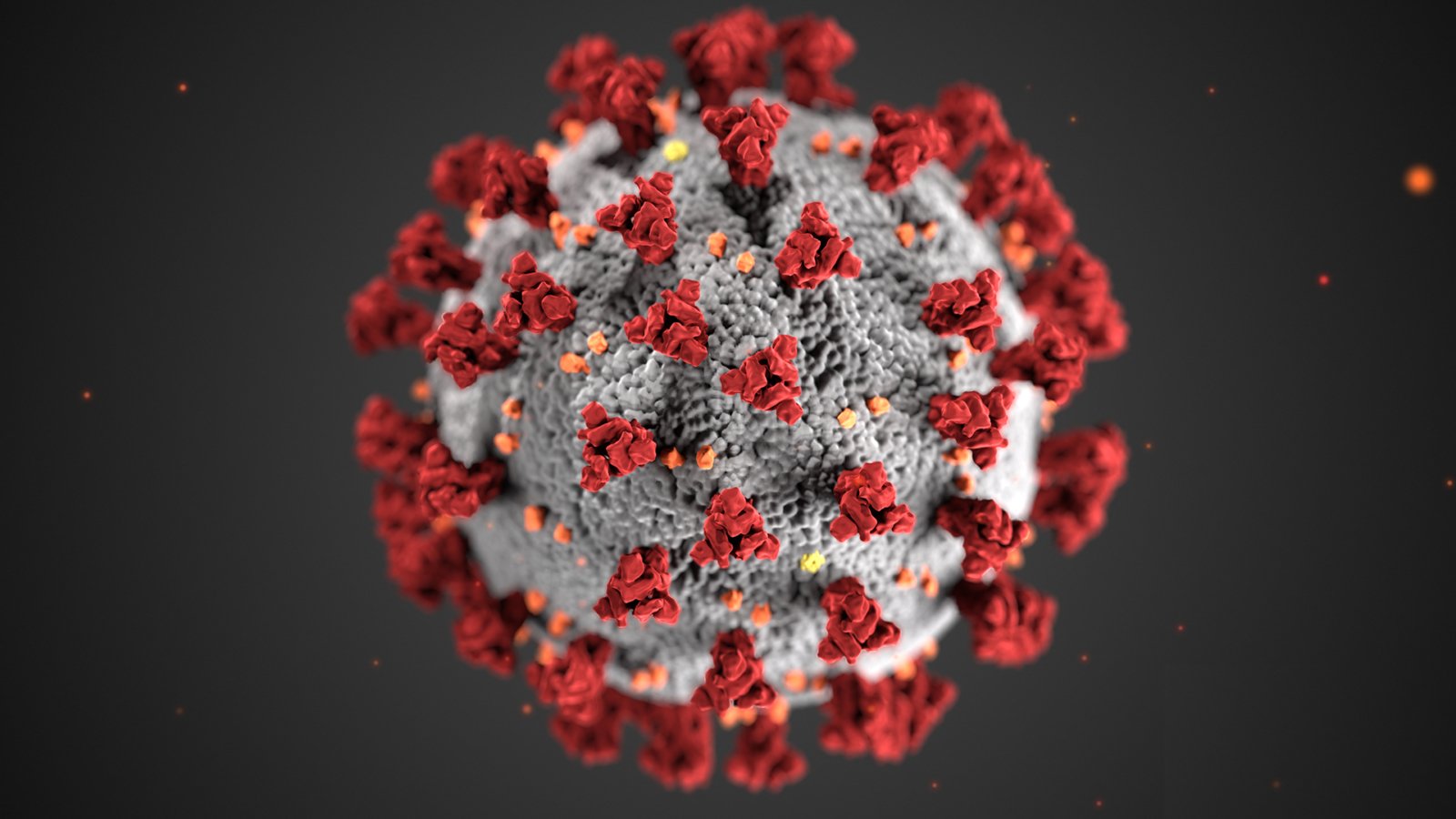 coronavirus-1_0